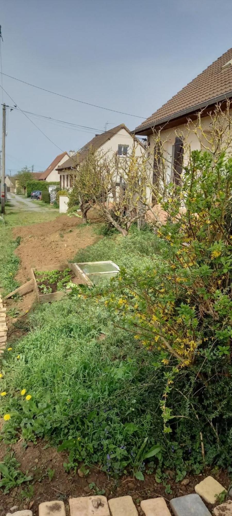 Appartamento L'Abri May-sur-Orne Esterno foto