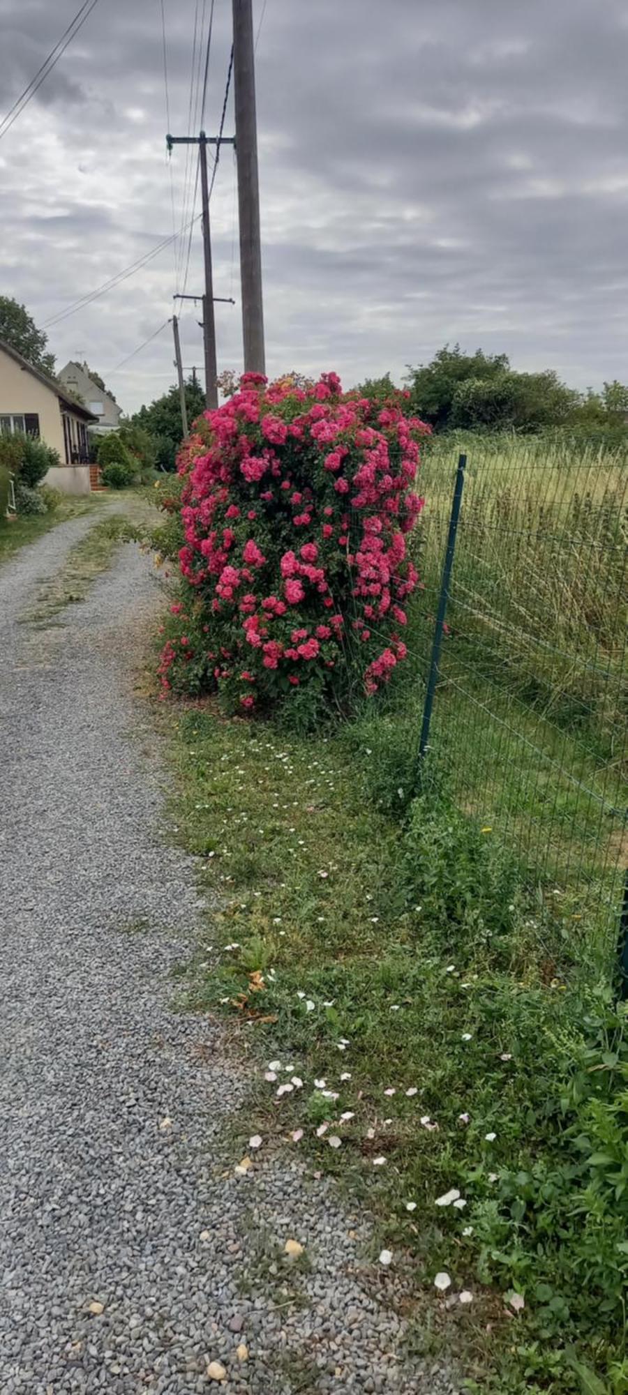 Appartamento L'Abri May-sur-Orne Esterno foto